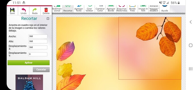 Screenshot_20211118-115156_Chrome