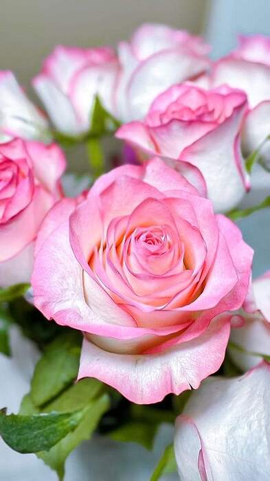 FB_IMG_1691207962909