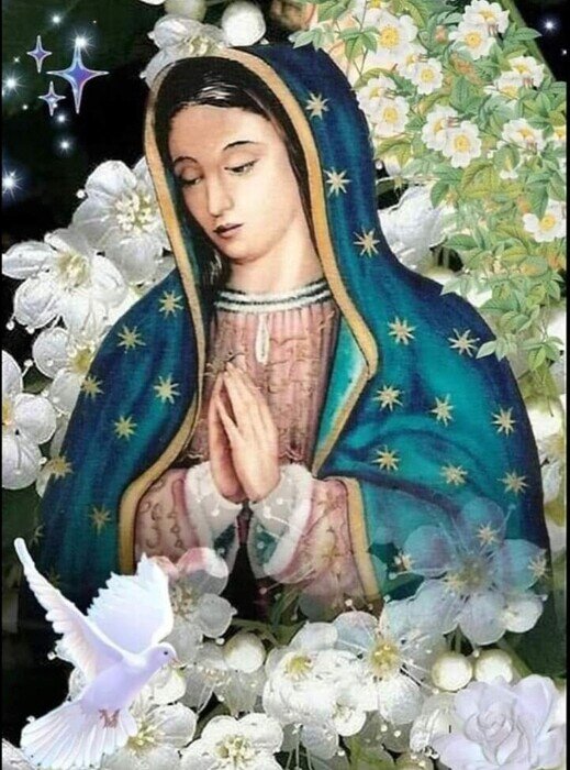 Screenshot_20231107_111236_edit_412643710943748