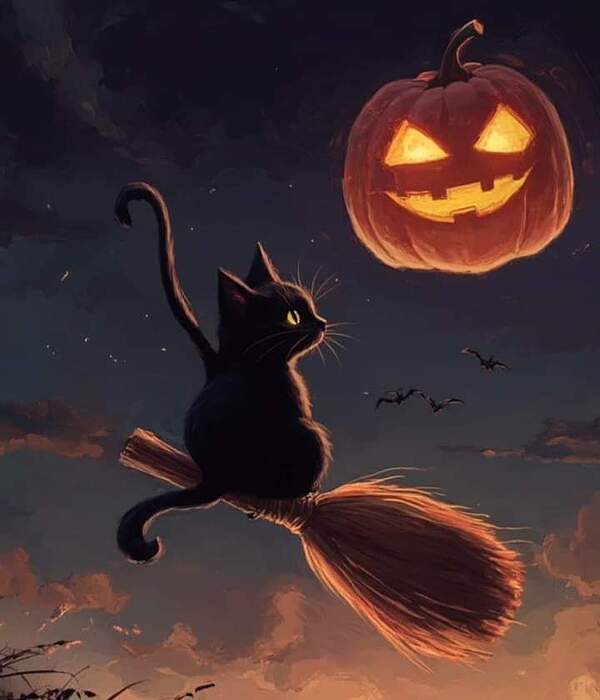 FB_IMG_1729777065455