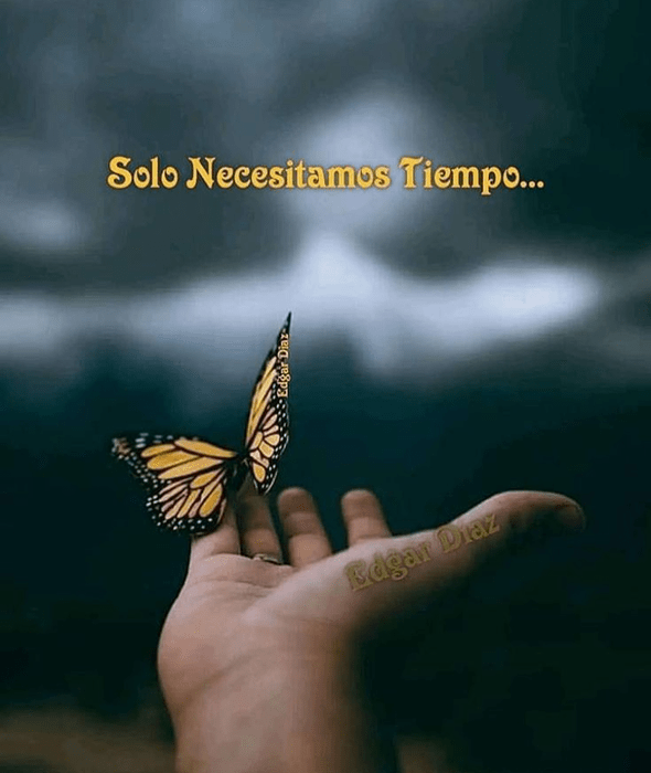 Screenshot_20240320-233905~2