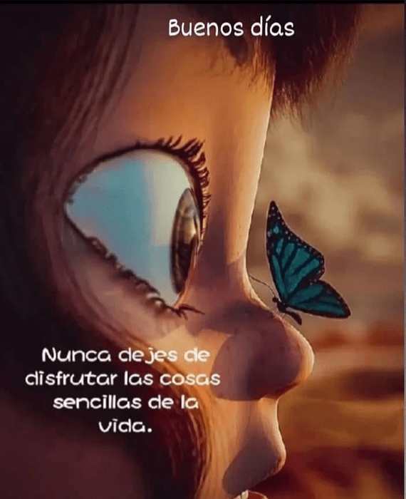 Screenshot_20240708-013429~2