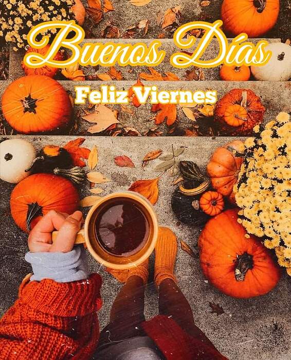 FB_IMG_1728055276188