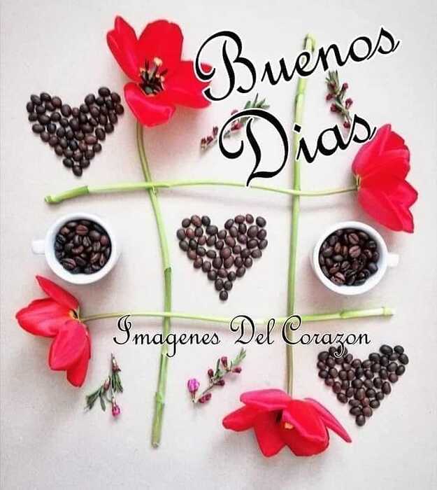 442484758_833205502170629_3353672306653353515_n