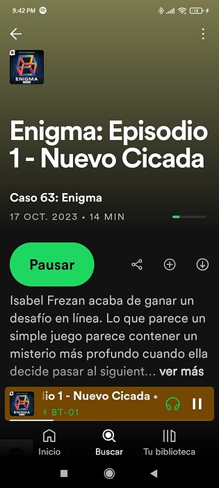 Screenshot_2024-12-01-21-42-28-808_com.spotify.music