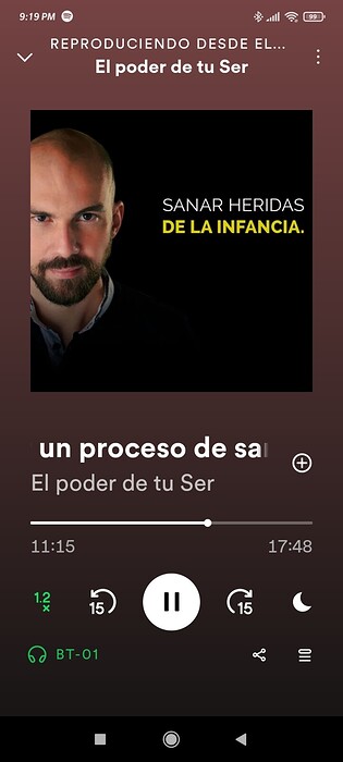Screenshot_2024-05-28-21-19-32-792_com.spotify.music