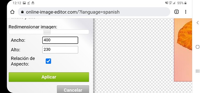 Screenshot_20211118-121223_Chrome