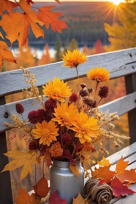 FB_IMG_1730391052210