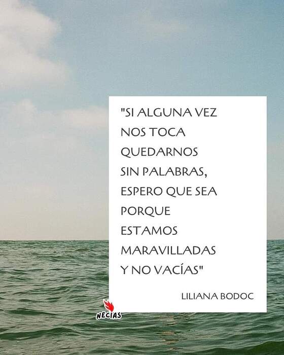 FB_IMG_1723867564468