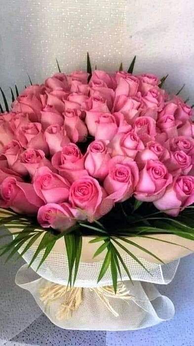 FB_IMG_1691207982722