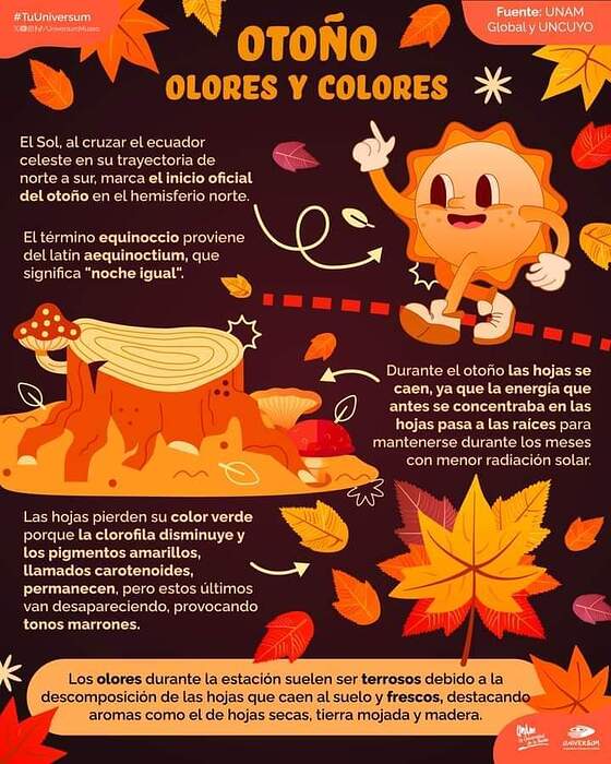 FB_IMG_1729968708203