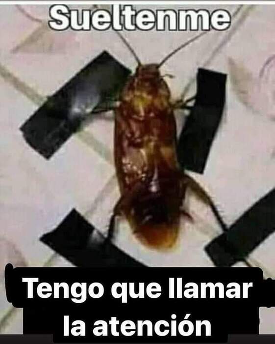 FB_IMG_1704754515609