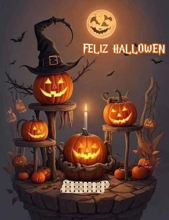 FB_IMG_1730328549084