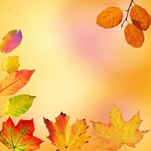 autumn-2690605_960_720