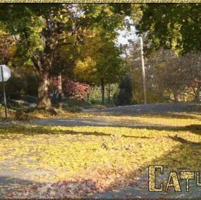 8e556de5-fb64-4f4f-bc75-12889f8ccafd-1_all_7472