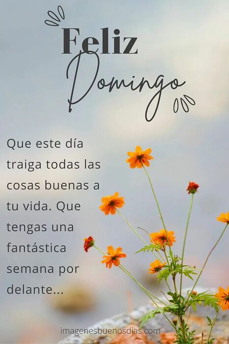 b990d62fb5ae9edfc608ff0c3a07acf7