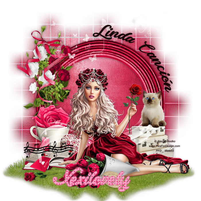 b4c62a0ef70572dbf5a17fa7ea9d033b4be5ae8d