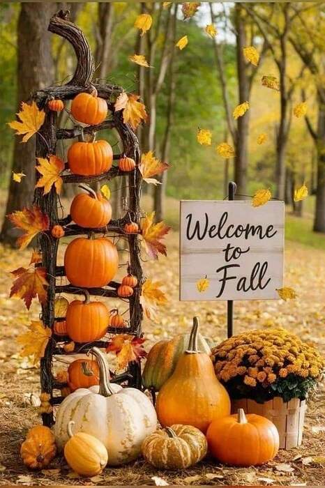 FB_IMG_1729863067411