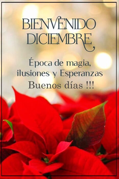 e0549541e91a02209ac5ac38b1b78922