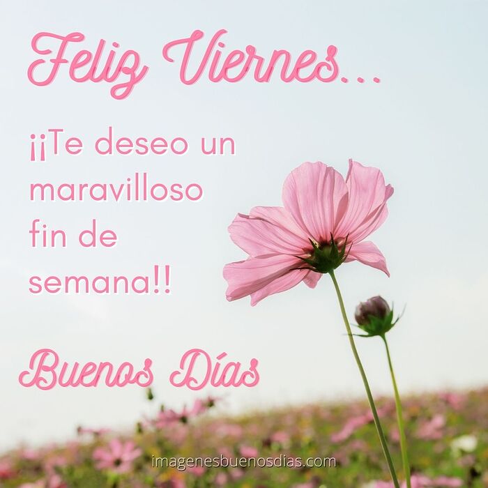 Feliz-viernes-fin-de-semana