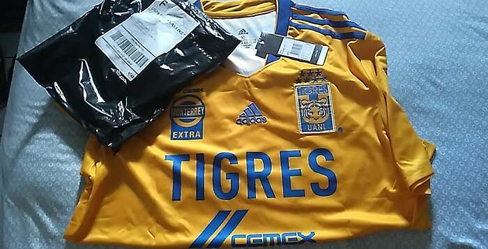 tigre1.1
