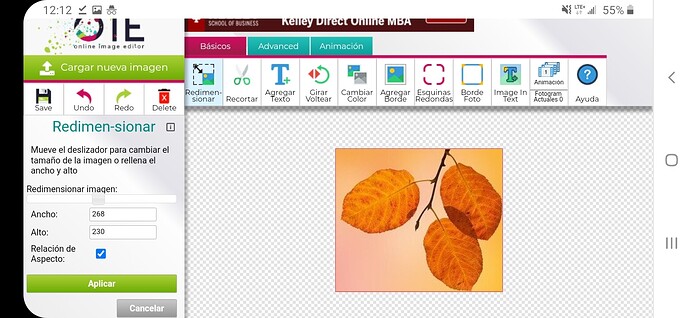 Screenshot_20211118-121203_Chrome