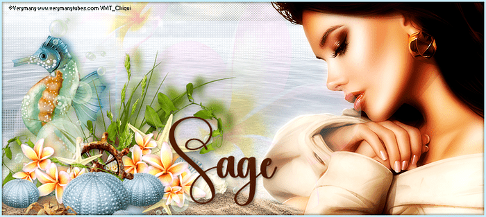 Sage banner Adri feb 23