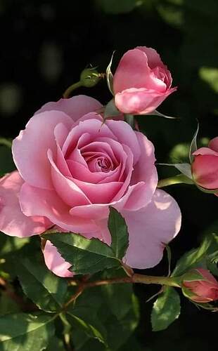 FB_IMG_1629375656264