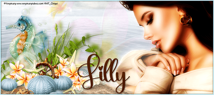 Lilly banner Adri Feb 23