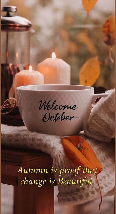 Screenshot_20241002-110224~2