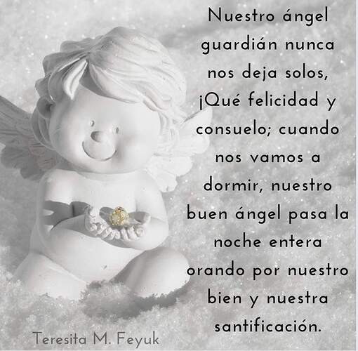 FB_IMG_1628353460193