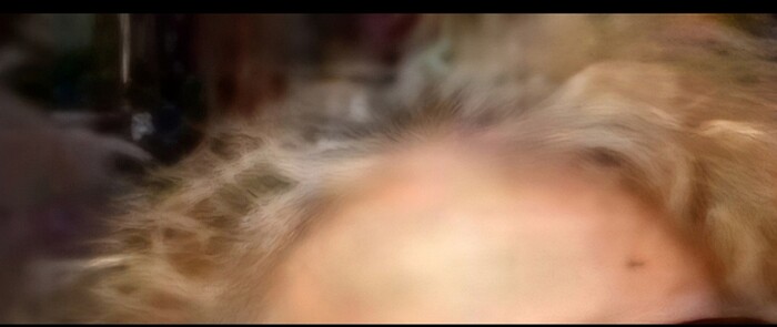 Screenshot_20260131_115739_Gallery