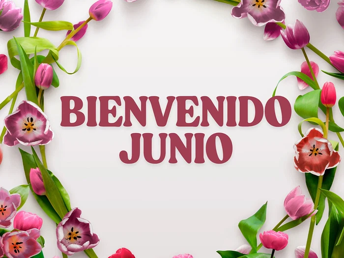 bienvenido_junio-og