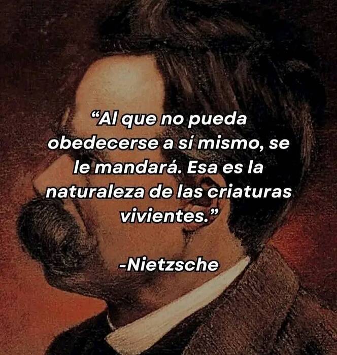 525763153_720410144308165_4402947336364310293_n