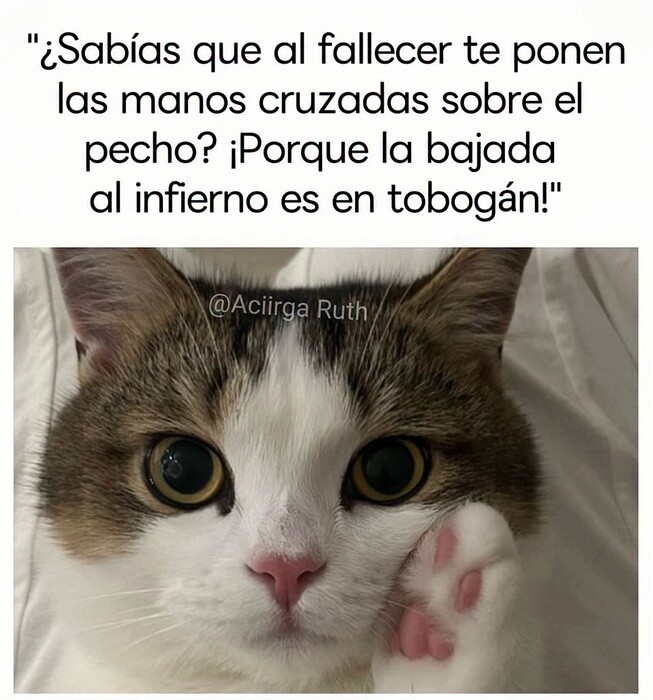 FB_IMG_1788234515344