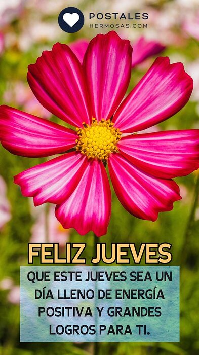 inspiradoras-frases-motivacion-jueves-864x1536