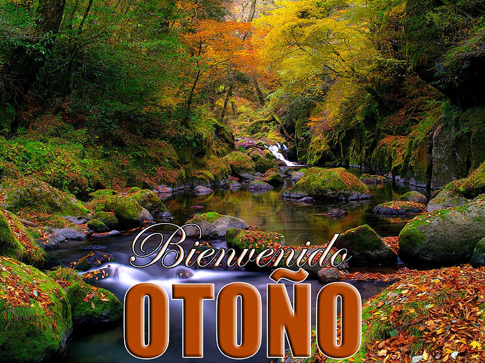 OTO1