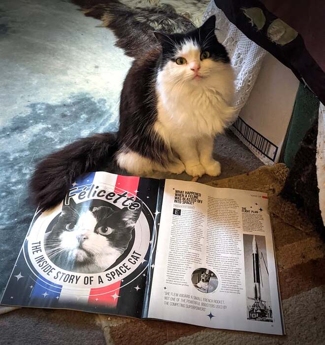 17448927101478853716054492603810