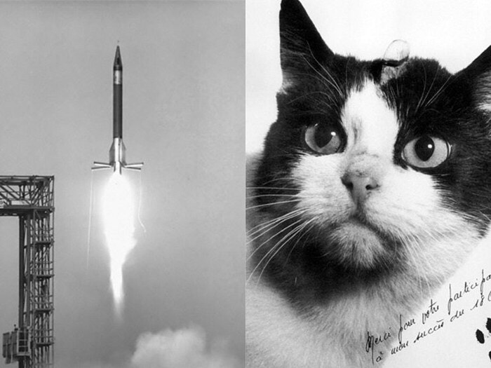 06339540090cfbbfb17d55a61afd1615043f390c_2_1400x1050