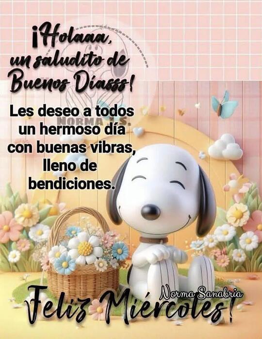 IMG_20260121_081833_097