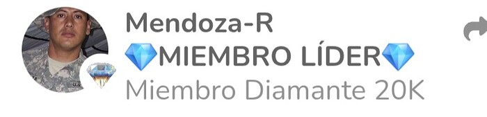 29115