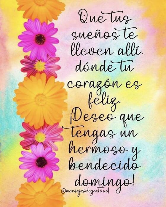 IMG_20260104_105206_397