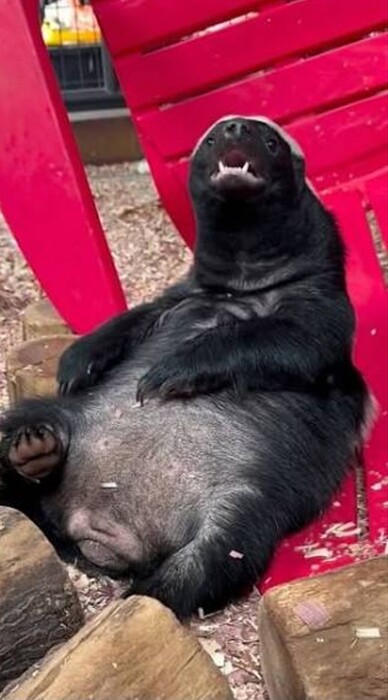 10853