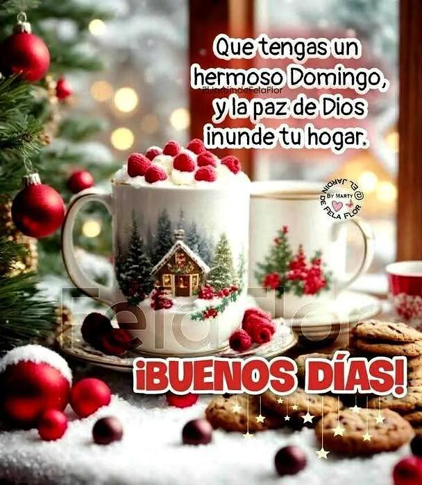 IMG_20260111_100437_739