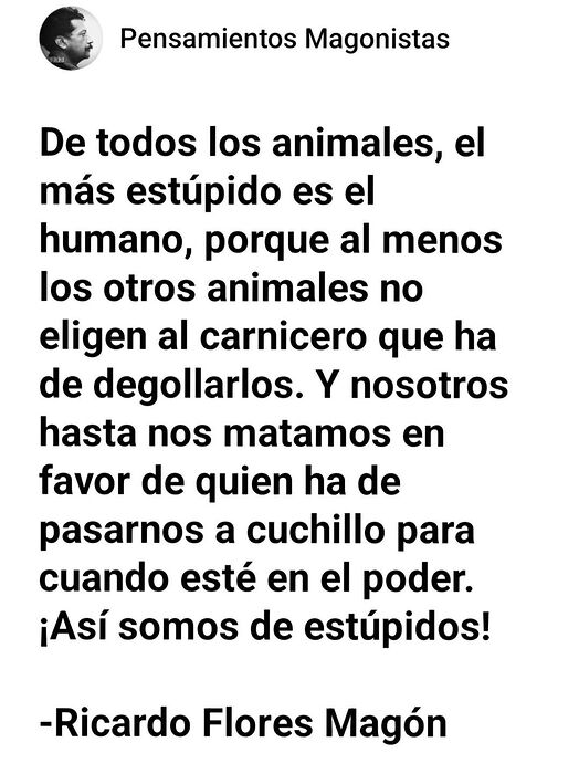 480625782_3464055383725852_4859035194630934521_n