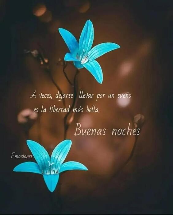 IMG_20260207_201659_124