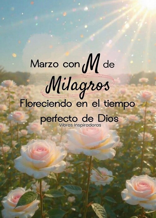 17727168147398444406330712862083