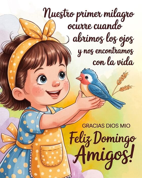 domingo80