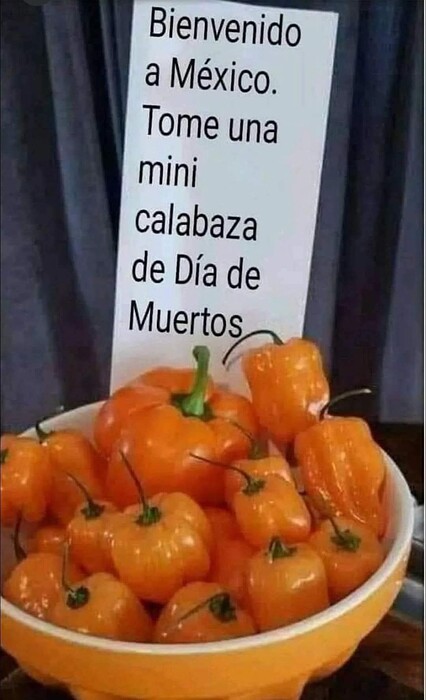 FB_IMG_1758324492761