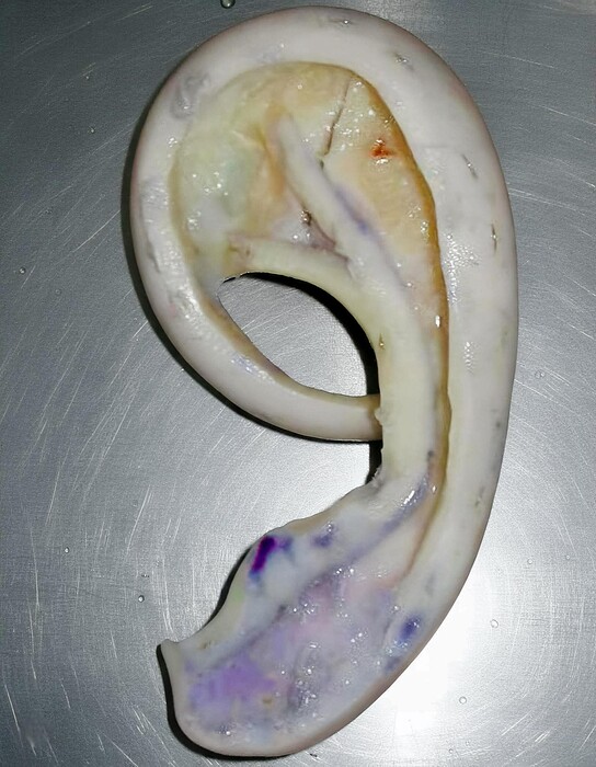 FB_IMG_1768099669283